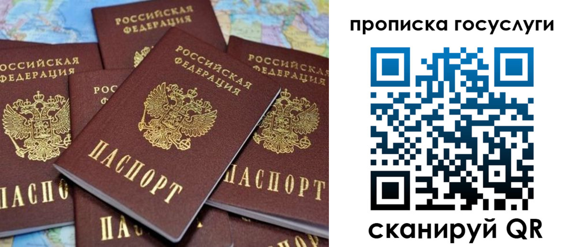 временная регистрация для всех в Коле