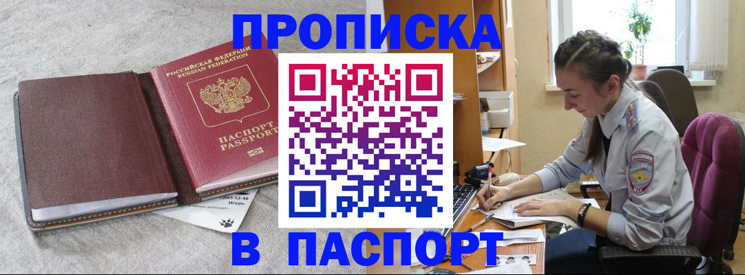 где прописаться в Коле